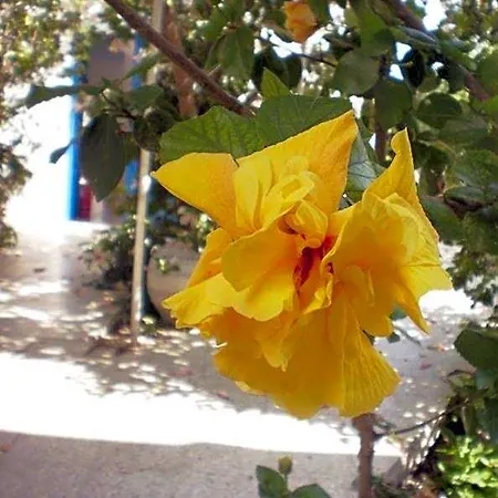 Minoa 2* Amorgos